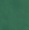 25 Count Forest Green Lugana