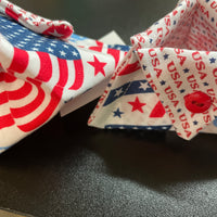 Patriotic notions bag or ORT Tray