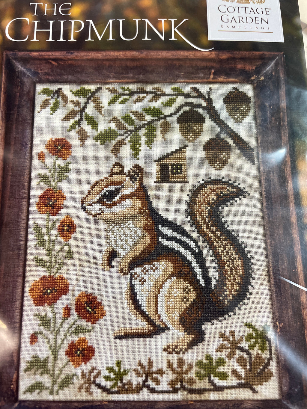 A Year in the Woods II: The Chipmunk