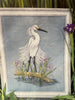 Snowy Egret
