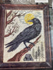 A Year in the Woods II: The Crow