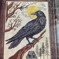 A Year in the Woods II: The Crow