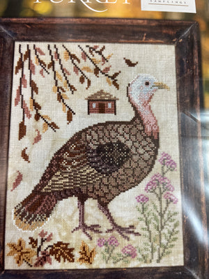 A Year in the Woods II: The Turkey