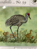 Sandhills