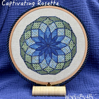Captivating Rosette