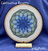 Captivating Rosette