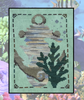 Reef Dancer