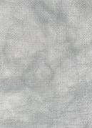 16 Count Brain Fog Aida