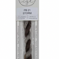 Storm- PB21
