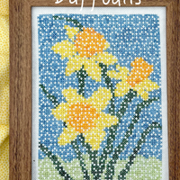 Daffodils