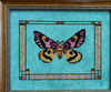 Western Sheep Moth