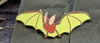 Strawberry Bat Needleminder