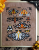 Ochre Wings