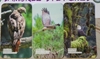 SamBrie Adventures Project Cards