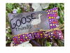 Silly Goose Things