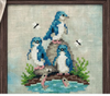 Fairy Penguins