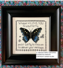 Butterfly Whispers