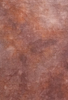 16 Count Wolfman Aida
