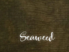 40 Count Seaweed Linen