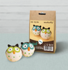 Owl Bird Needle Felting Kit