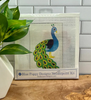 Peacock Needlepoint Kit