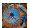 Steller's Jay