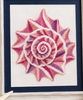 Conch Shell