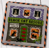 Black Cat Rescue