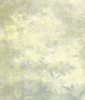 Luna Fabric by Rogue