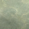 32 Count Sequoia Lugana