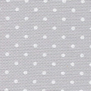 20 Count Grey with white petit points Aida