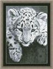 Black and White Leopard
