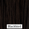 Blackbird CCW
