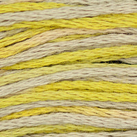 Citron (Yellow Gray) - 2216