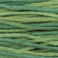 Blue Spruce - 1276