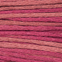 Raspberry (Pink) - 1336