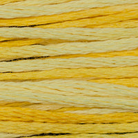 Sally's Sunshine (Yellow) - 2218