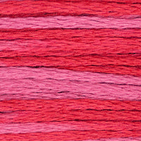 Begonia - 2263