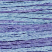 Dutch Iris (Blue Purple) - 2342