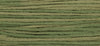 Artichoke (Green) - 1183