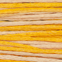 Mimosa (Yellow) - 2231