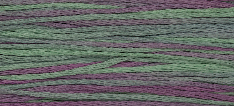 Beachcomber (Blue Purple) - 4149