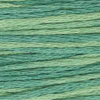 Bayberry - 2166