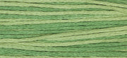 Ivy (Green) - 2198