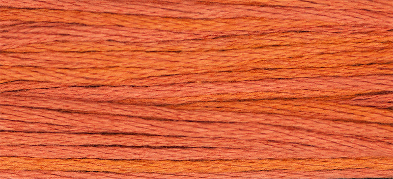 Chrysanthemum (Orange) - 2241
