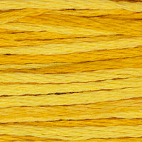 Squash (Yellow) - 2224