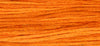 Pumpkin - 2228