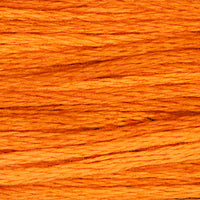 Pumpkin - 2228