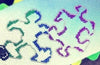 Shapes of Autism