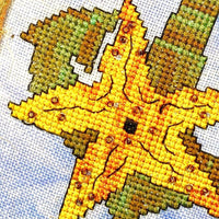 Anchor Series: Starfish